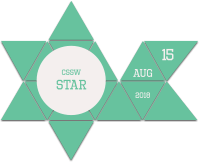 css winner star